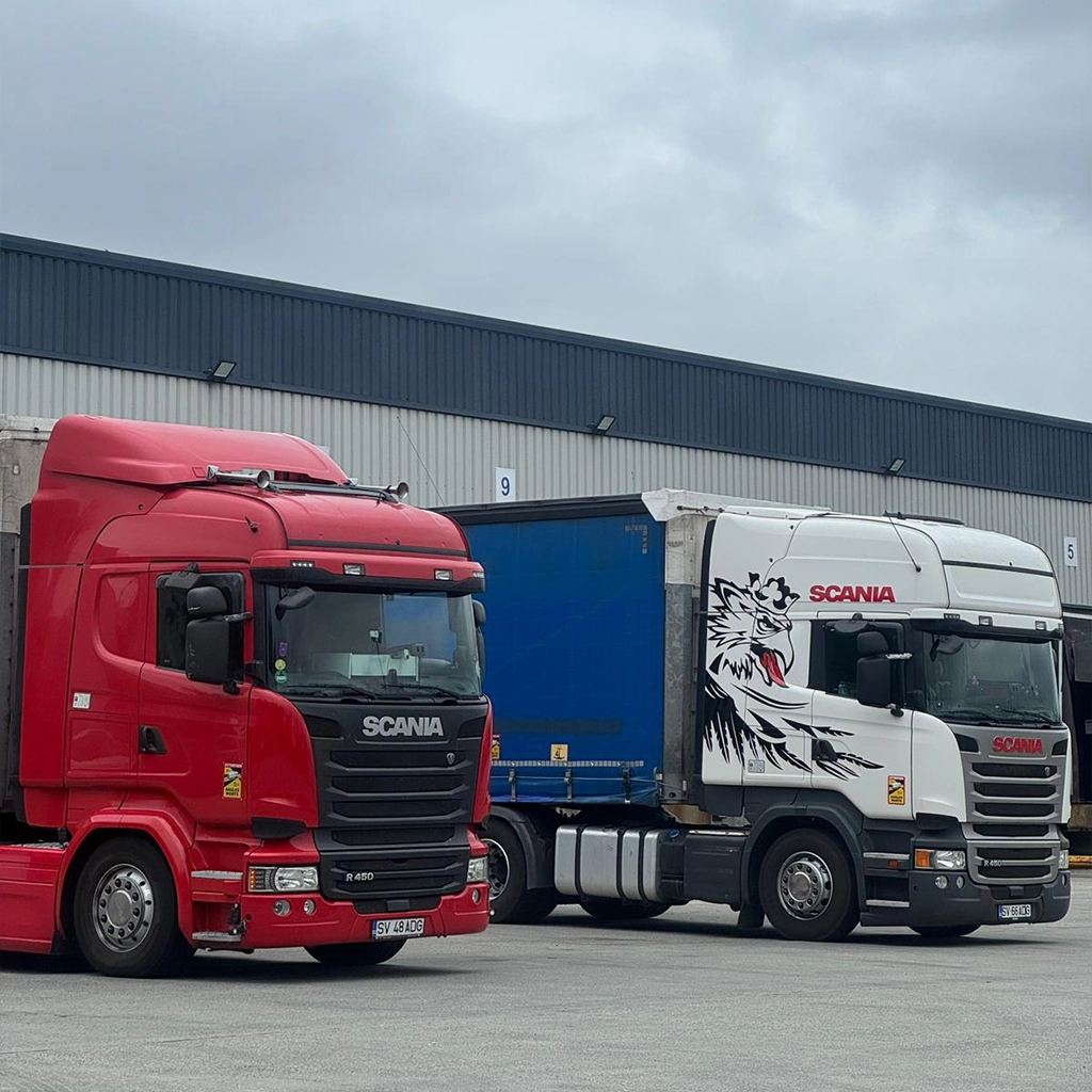 O mica parte din flota de transport international